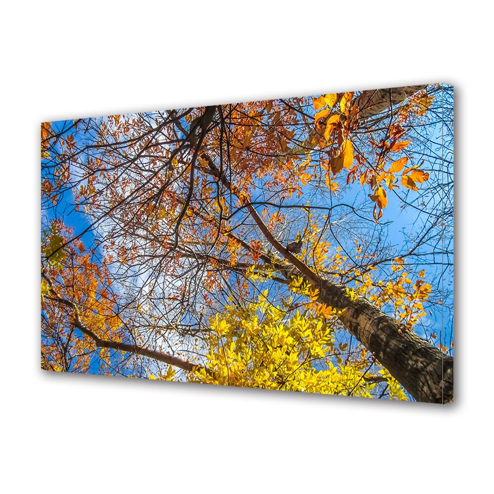 Tablou Canvas Luminos in intuneric VarioView LED, Toamna, Sub copacii ingalbeniti, 40 x 60 cm