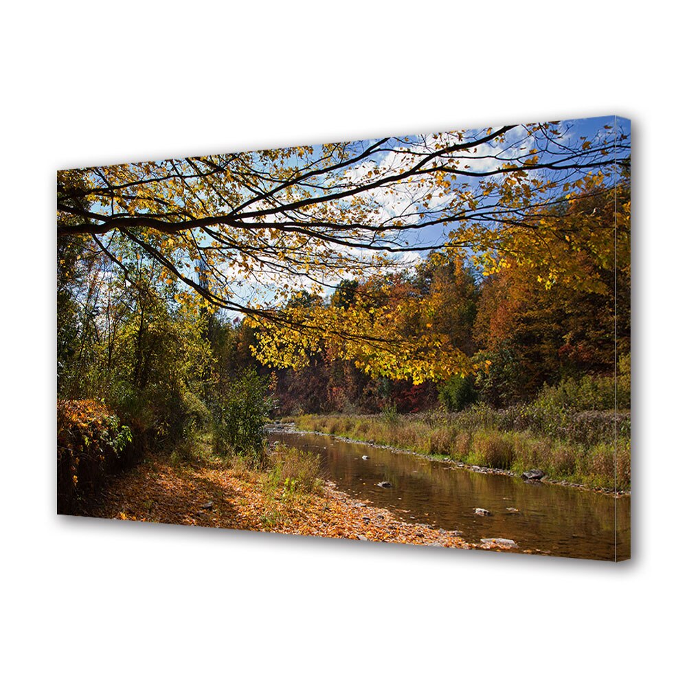 Tablou Canvas Luminos in intuneric VarioView LED, Toamna, Izvor in lumina blanda, 40 x 60 cm