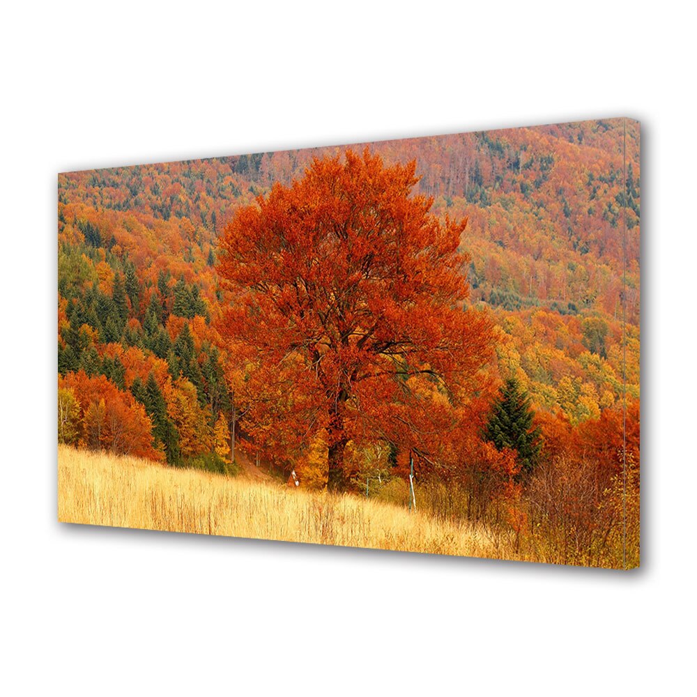Tablou Canvas Luminos in intuneric VarioView LED, Toamna, Cel mai frumos copac, 40 x 60 cm