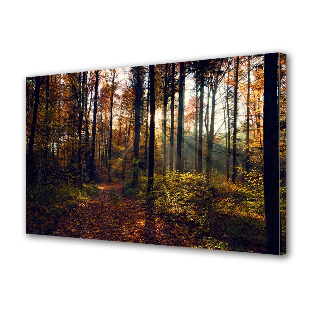 Tablou Canvas Luminos in intuneric VarioView LED, Toamna, Soare de toamna printre copaci, 30 x 45 cm