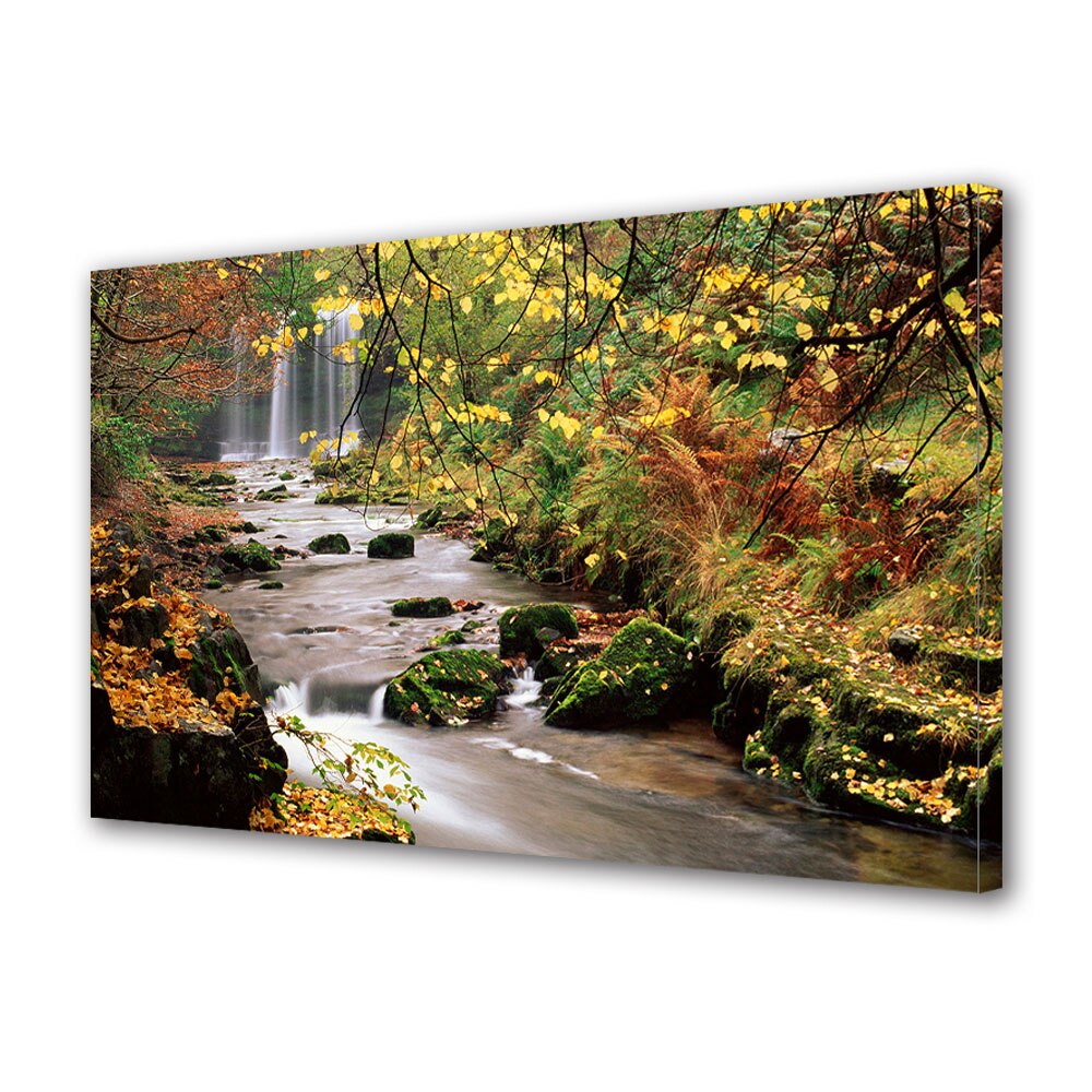 Tablou Canvas Luminos in intuneric VarioView LED, Toamna, Parau rapid, 30 x 45 cm