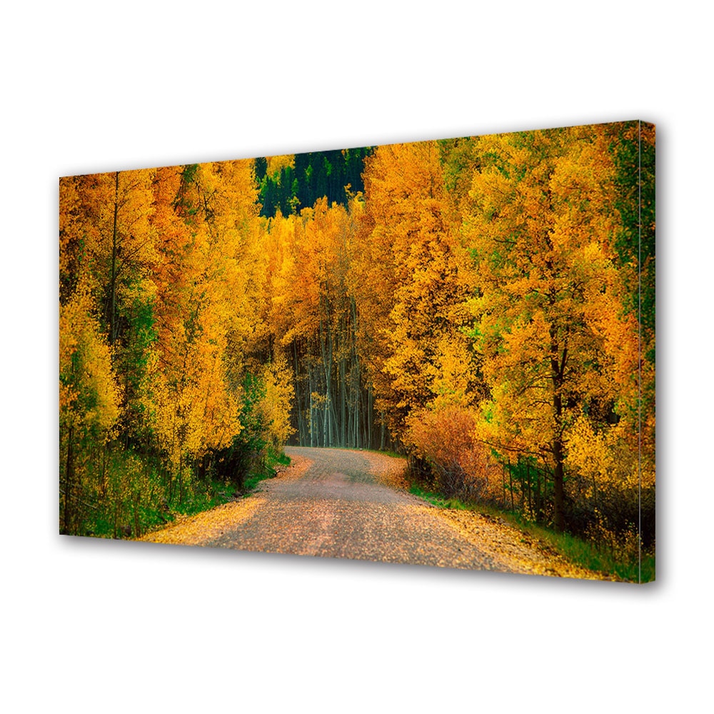 Tablou Canvas Luminos in intuneric VarioView LED, Toamna, Drumul spre inima padurii, 40 x 60 cm