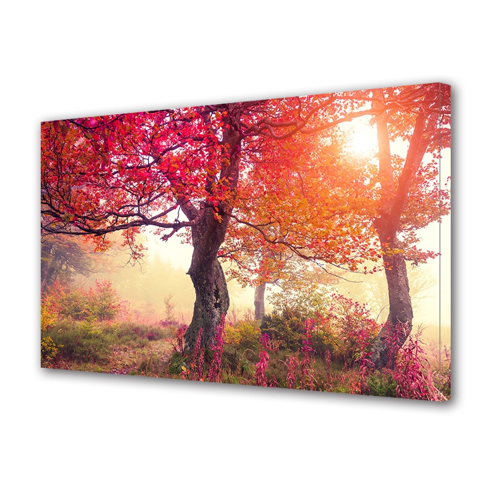 Tablou Canvas Luminos in intuneric VarioView LED, Toamna, Copacul din povesti, 30 x 45 cm