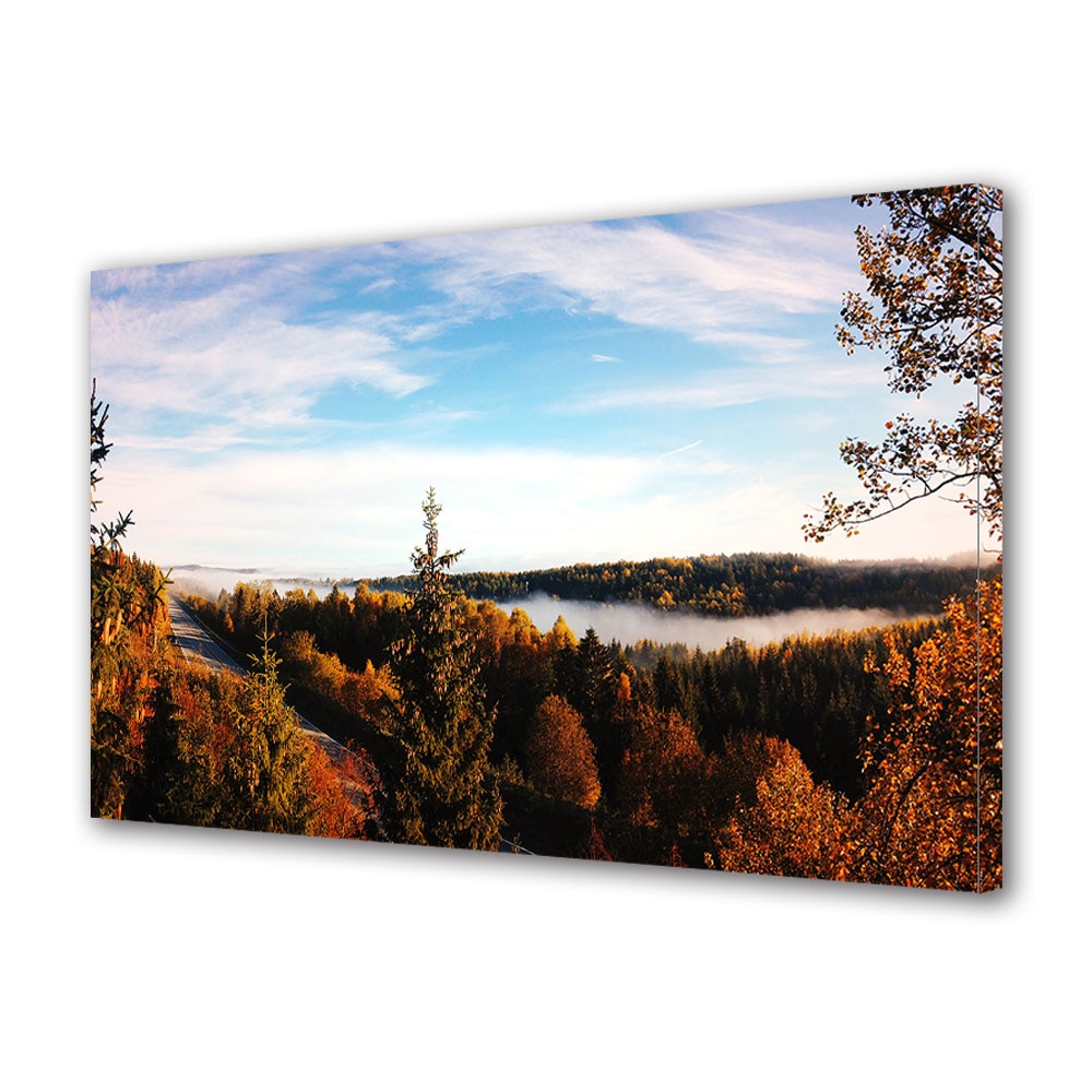 Tablou Canvas Luminos in intuneric VarioView LED, Toamna, Panorama spre padurea incetosata, 40 x 60 cm