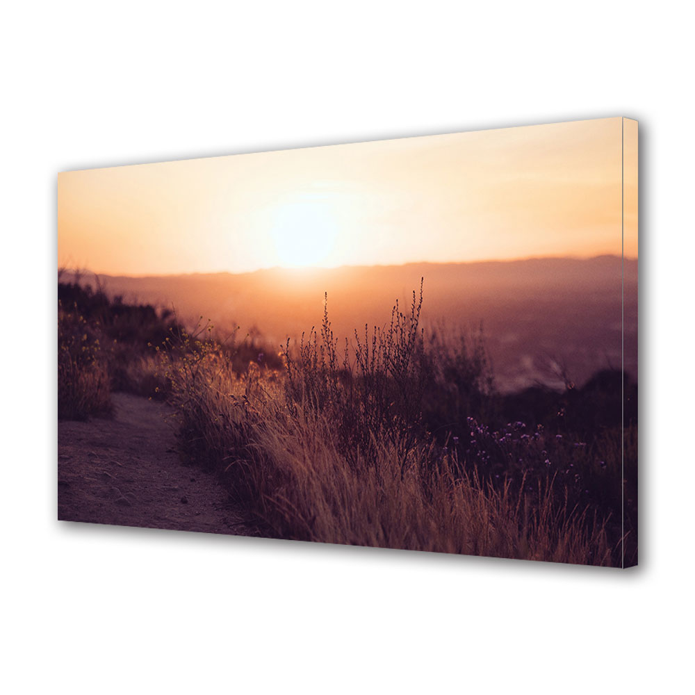 Tablou Canvas Luminos in intuneric VarioView LED, Toamna, Ierburi salbatice pe campie, 40 x 60 cm
