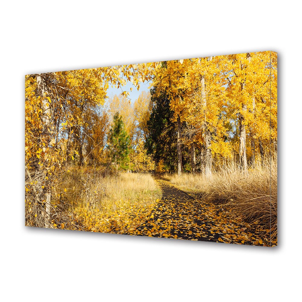 Tablou Canvas Luminos in intuneric VarioView LED, Toamna, Carare acoperita de frunze in parc, 40 x 60 cm