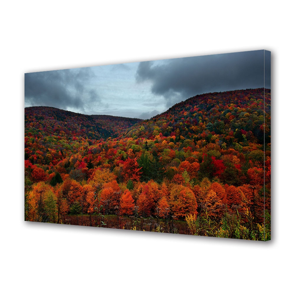 Tablou Canvas Luminos in intuneric VarioView LED, Toamna, Straturi colorate de padure, 30 x 45 cm