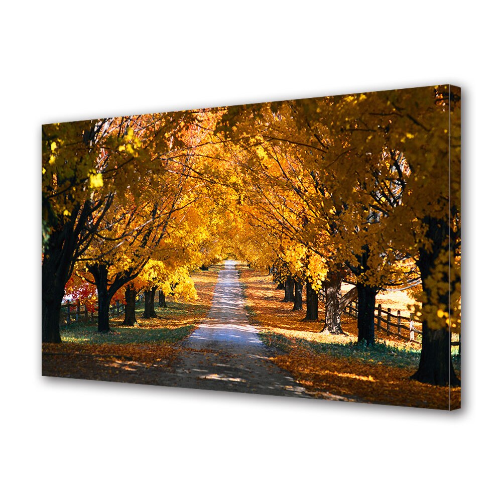 Tablou Canvas Luminos in intuneric VarioView LED, Toamna, Poteca printre copaci de toamna colorati, 30 x 45 cm