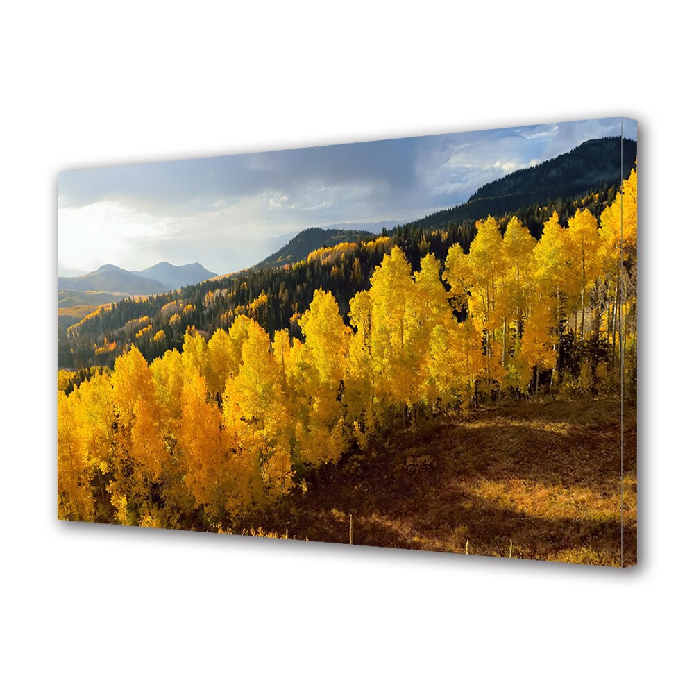 Tablou Canvas Luminos in intuneric VarioView LED, Toamna, Rand ascendent de copaci ingalbeniti, 30 x 45 cm