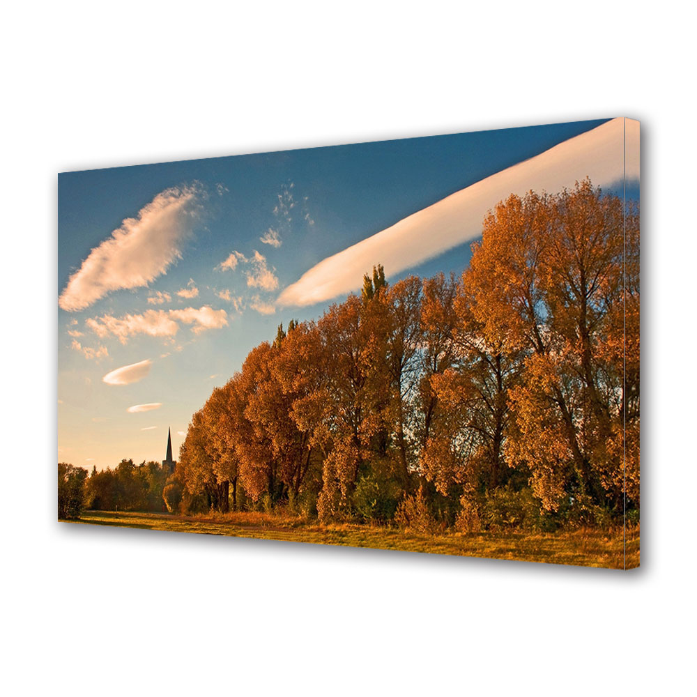 Tablou Canvas Luminos in intuneric VarioView LED, Toamna, Perspectiva intr-o dupa-amiaza de toamna, 30 x 45 cm