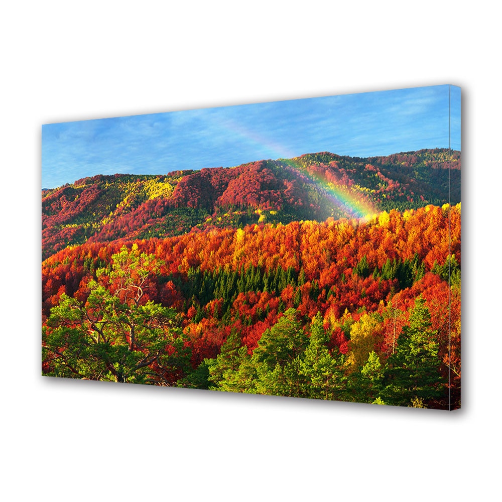 Tablou Canvas Luminos in intuneric VarioView LED, Toamna, Capatul curcubeului printre copaci, 30 x 45 cm