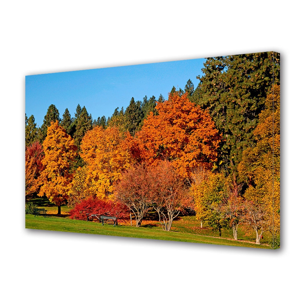 Tablou Canvas Luminos in intuneric VarioView LED, Toamna, Bancute sub copacii rosii, 30 x 45 cm