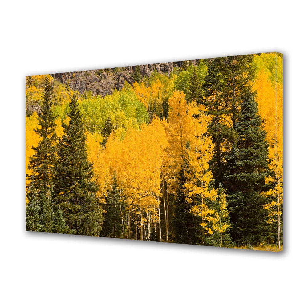 Tablou Canvas Luminos in intuneric VarioView LED, Toamna, Padure galbena de mesteacan, 30 x 45 cm