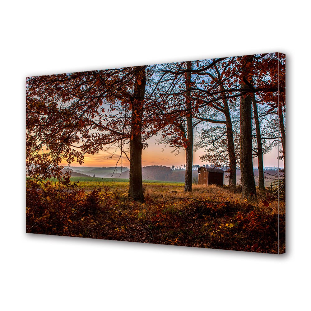 Tablou Canvas Luminos in intuneric VarioView LED, Toamna, Casuta printre copaci, 30 x 45 cm