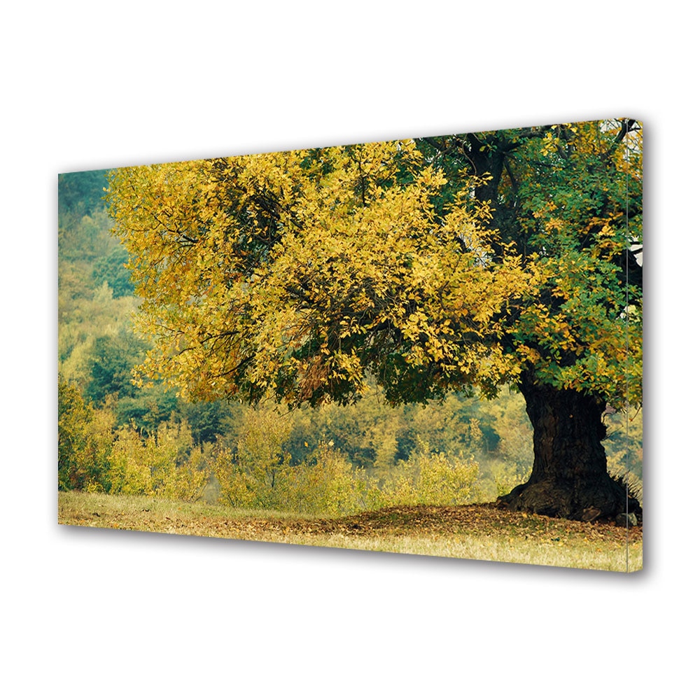 Tablou Canvas Luminos in intuneric VarioView LED, Toamna, Stejar batran ingalbenit, 40 x 60 cm