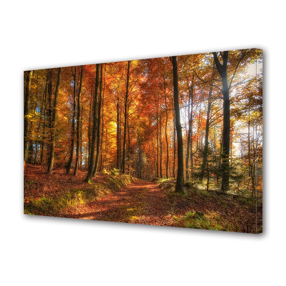 Tablou Canvas Luminos in intuneric VarioView LED, Toamna, Luminis printre copaci rosii, 30 x 45 cm