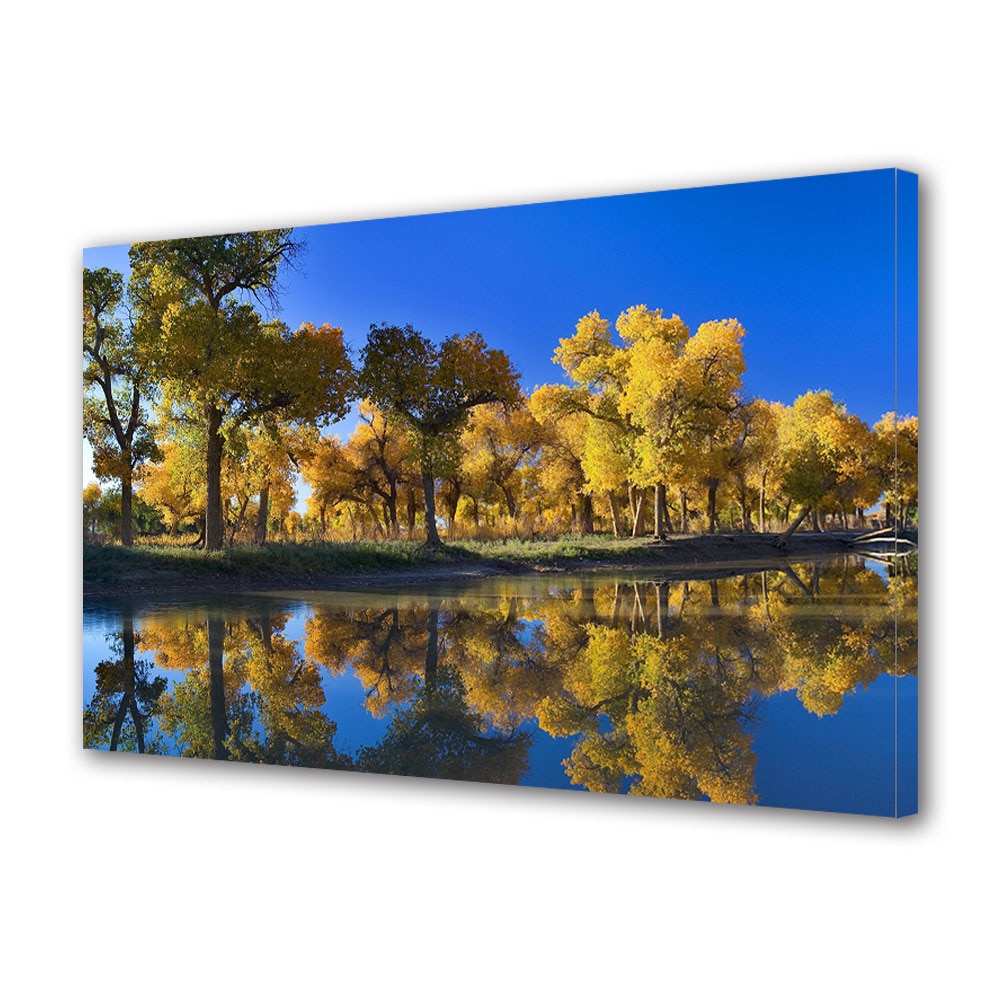 Tablou Canvas Luminos in intuneric VarioView LED, Toamna, Cer albastru incredibil, 30 x 45 cm