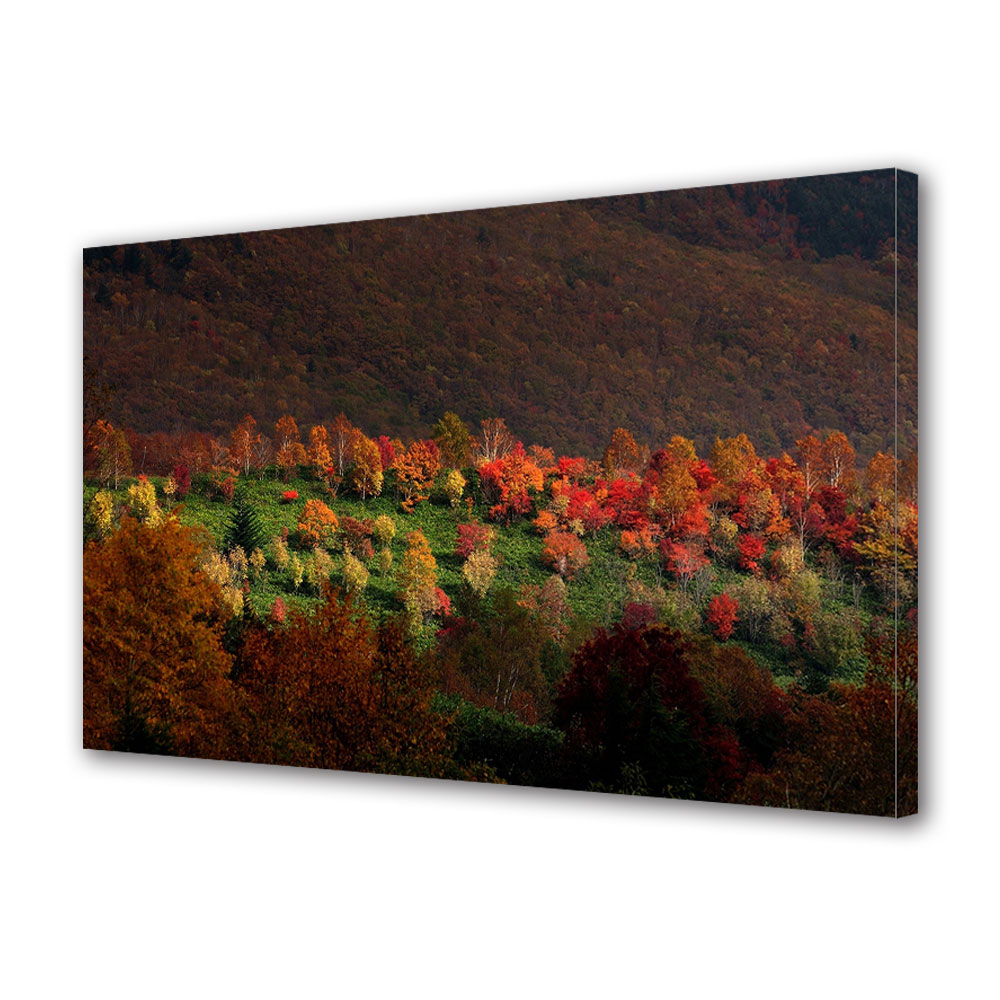 Tablou Canvas Luminos in intuneric VarioView LED, Toamna, Soare pe deal, 40 x 60 cm