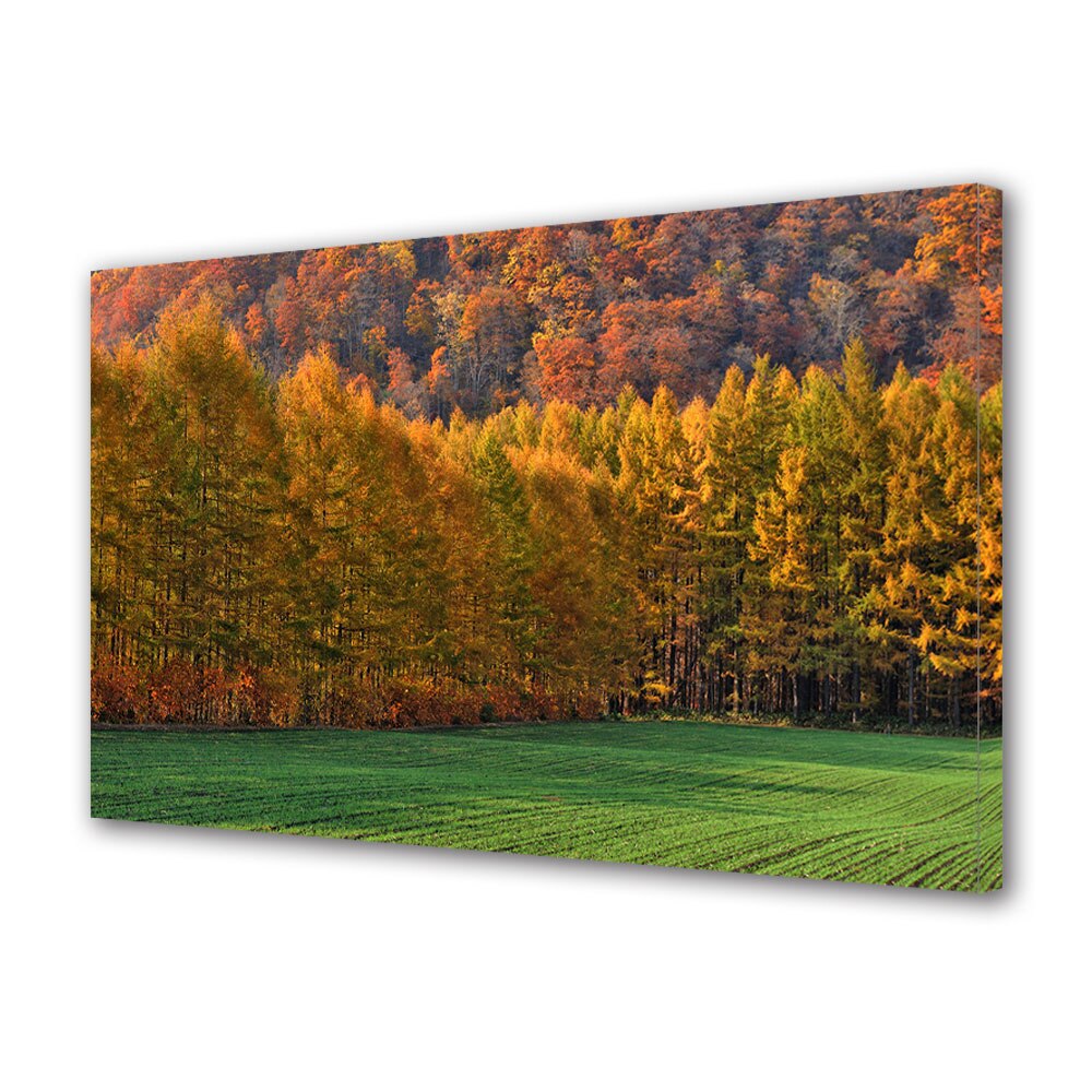 Tablou Canvas Luminos in intuneric VarioView LED, Toamna, Pajiste verde cu copaci de toamna, 40 x 60 cm