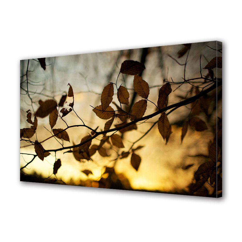 Tablou Canvas Luminos in intuneric VarioView LED, Toamna, Frunze la sfarsitul toamnei, 40 x 60 cm