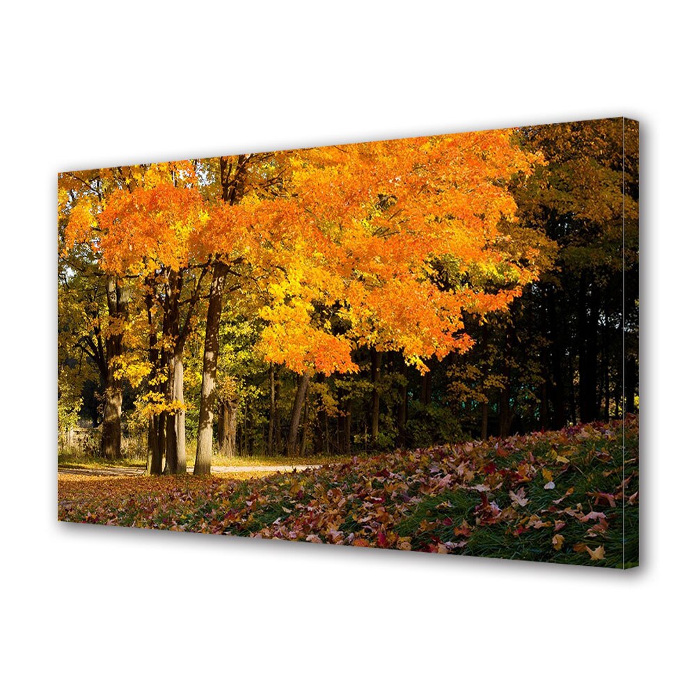 Tablou Canvas Luminos in intuneric VarioView LED, Toamna, Trunchiuri de copaci luminate, 40 x 60 cm