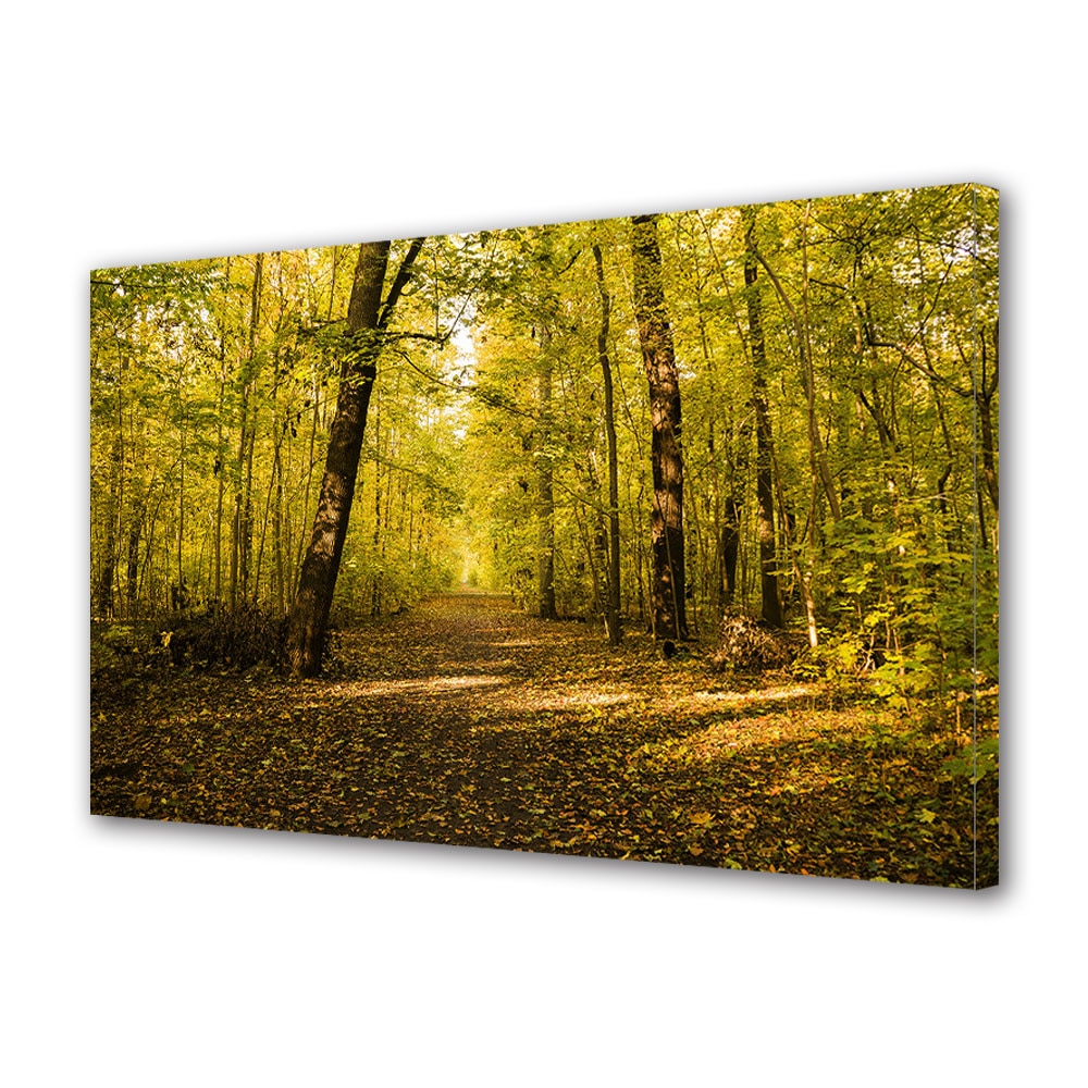 Tablou Canvas Luminos in intuneric VarioView LED, Toamna, Frunze de toamna pe drum, 40 x 60 cm