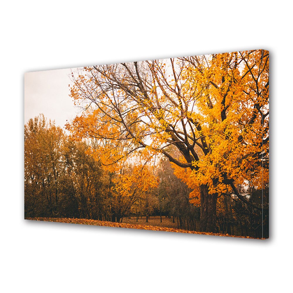 Tablou Canvas Luminos in intuneric VarioView LED, Toamna, Covor minunat de frunze, 30 x 45 cm