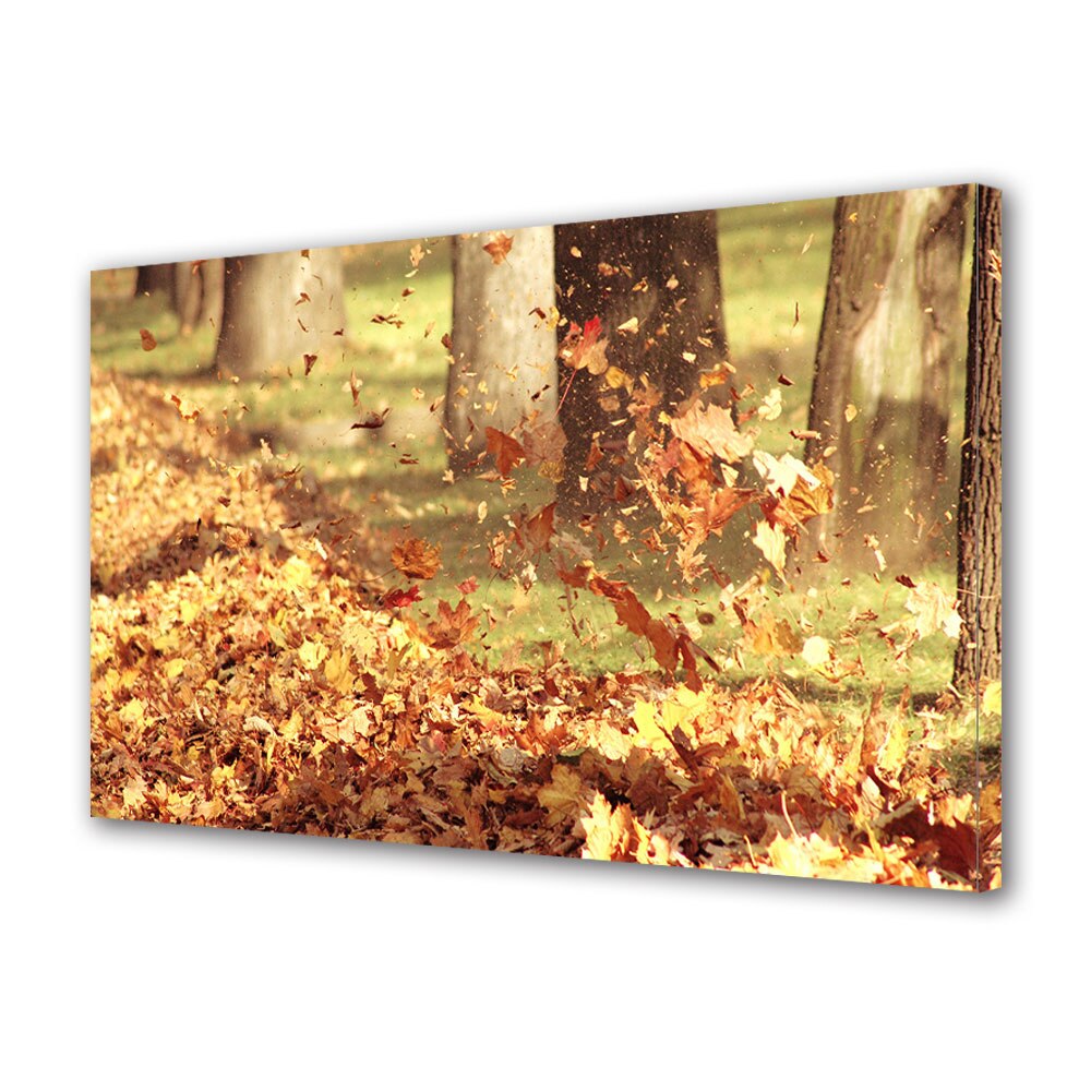 Tablou Canvas Luminos in intuneric VarioView LED, Toamna, Vartej in covorul de frunze, 40 x 60 cm