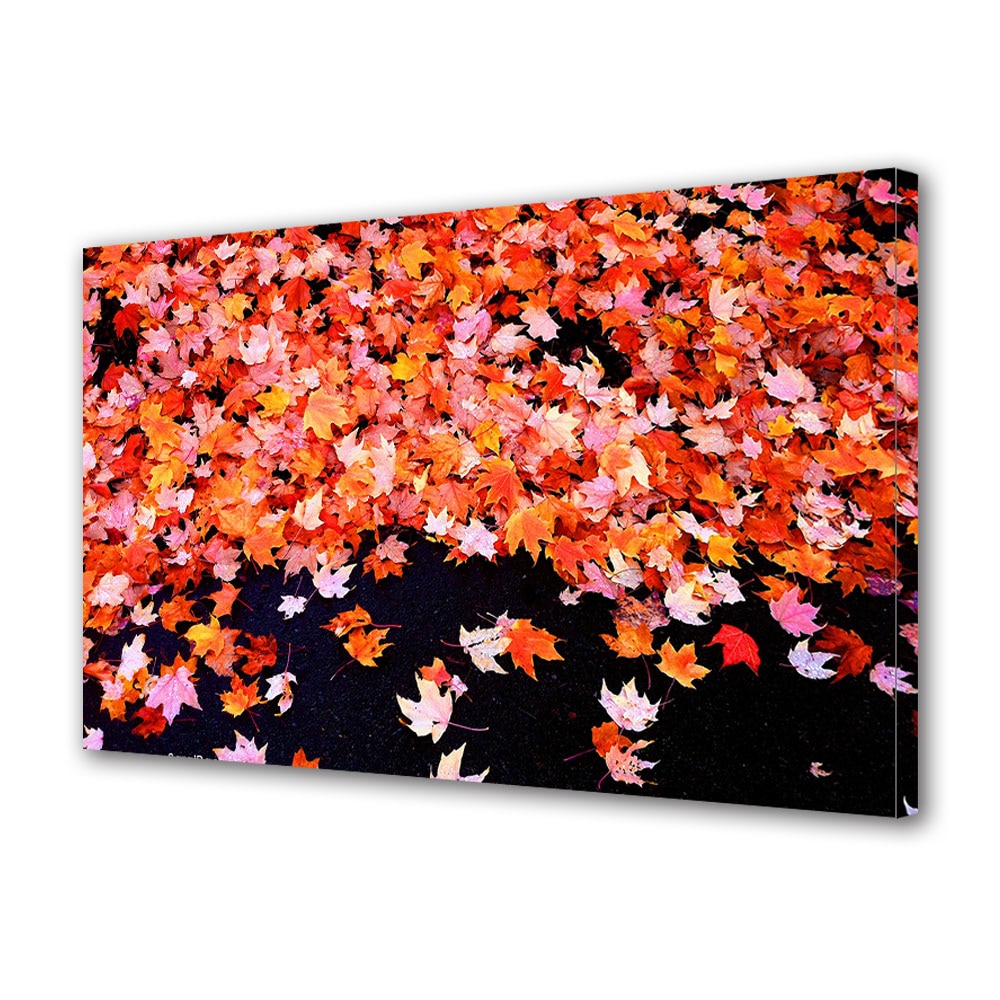 Tablou Canvas Luminos in intuneric VarioView LED, Toamna, Frunze de artar , 40 x 60 cm
