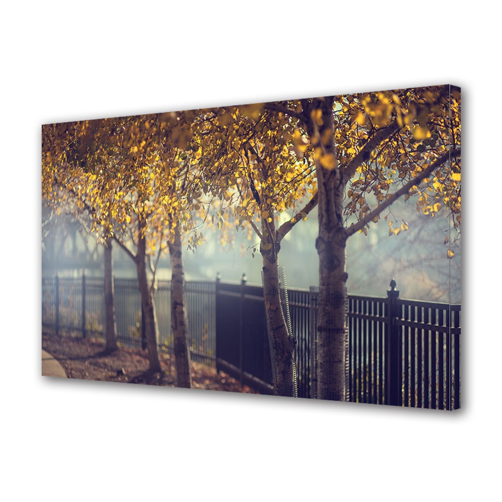 Tablou Canvas Luminos in intuneric VarioView LED, Toamna, Rand de copaci pe langa gard, 40 x 60 cm