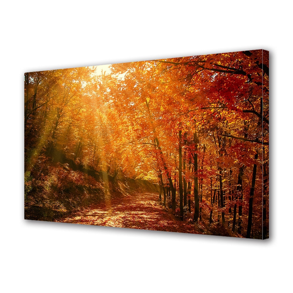 Tablou Canvas Luminos in intuneric VarioView LED, Toamna, Buchet de raze in padure, 40 x 60 cm