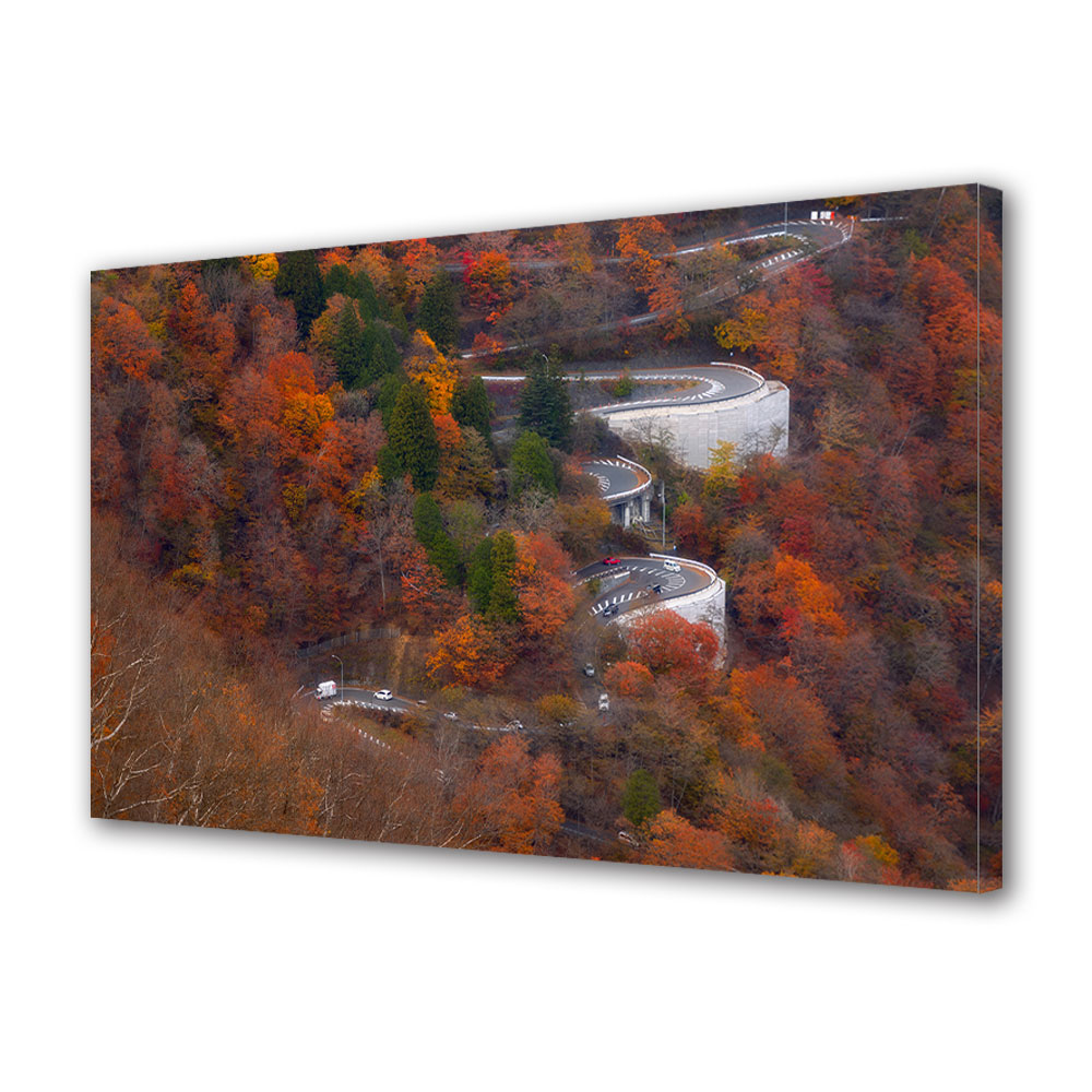 Tablou Canvas Luminos in intuneric VarioView LED, Toamna, Drum serpuit pe munte, 40 x 60 cm