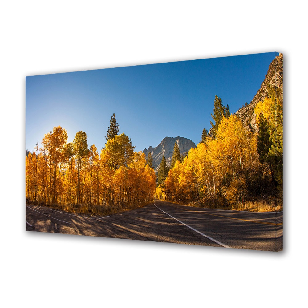 Tablou Canvas Luminos in intuneric VarioView LED, Toamna, Spre munte, 30 x 45 cm