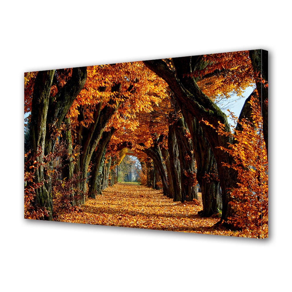 Tablou Canvas Luminos in intuneric VarioView LED, Toamna, Pazitorii potecii, 30 x 45 cm