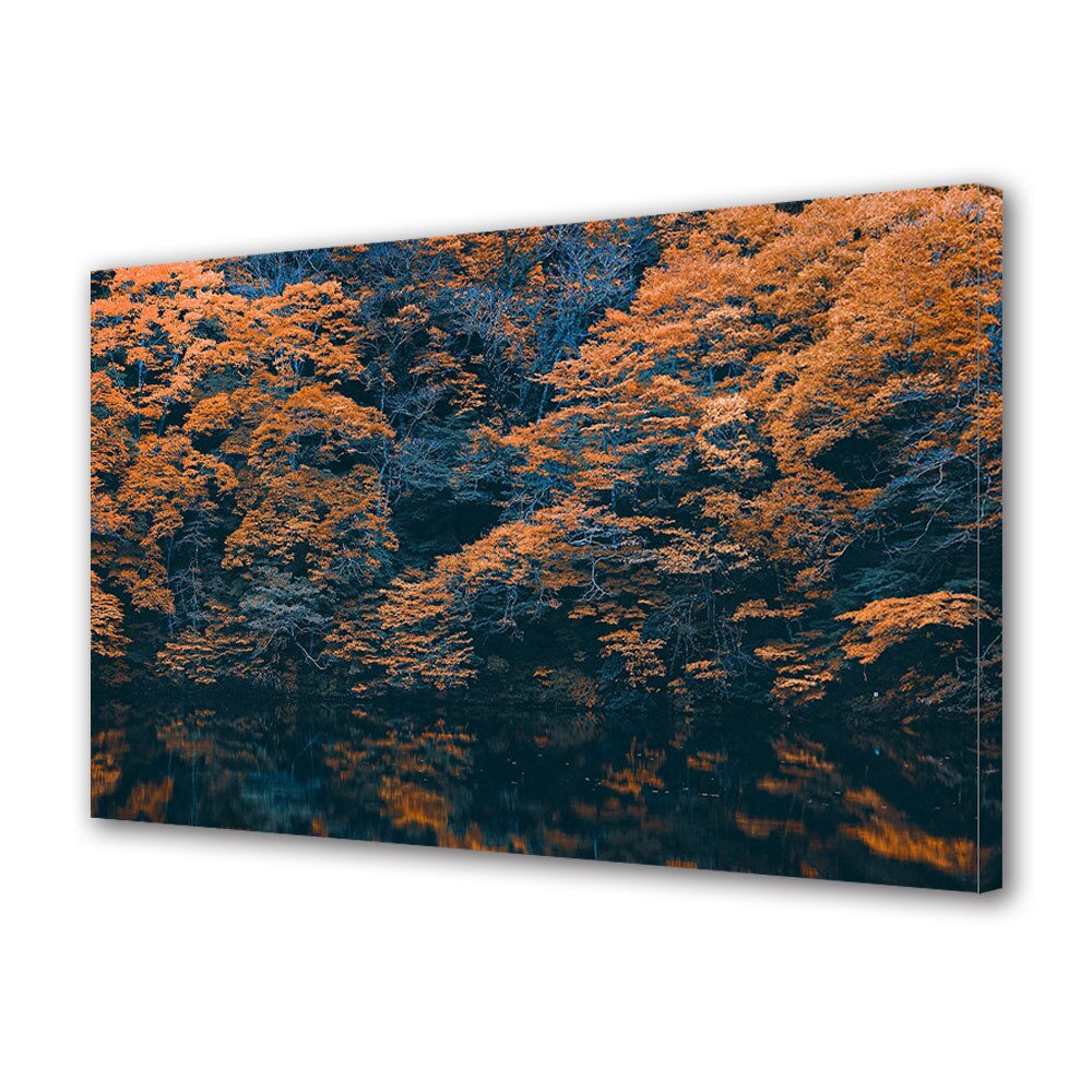 Tablou Canvas Luminos in intuneric VarioView LED, Toamna, Contrast tomnatic portocaliu, 40 x 60 cm