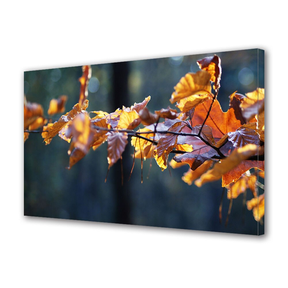 Tablou Canvas Luminos in intuneric VarioView LED, Toamna, Ramura colorata, 30 x 45 cm