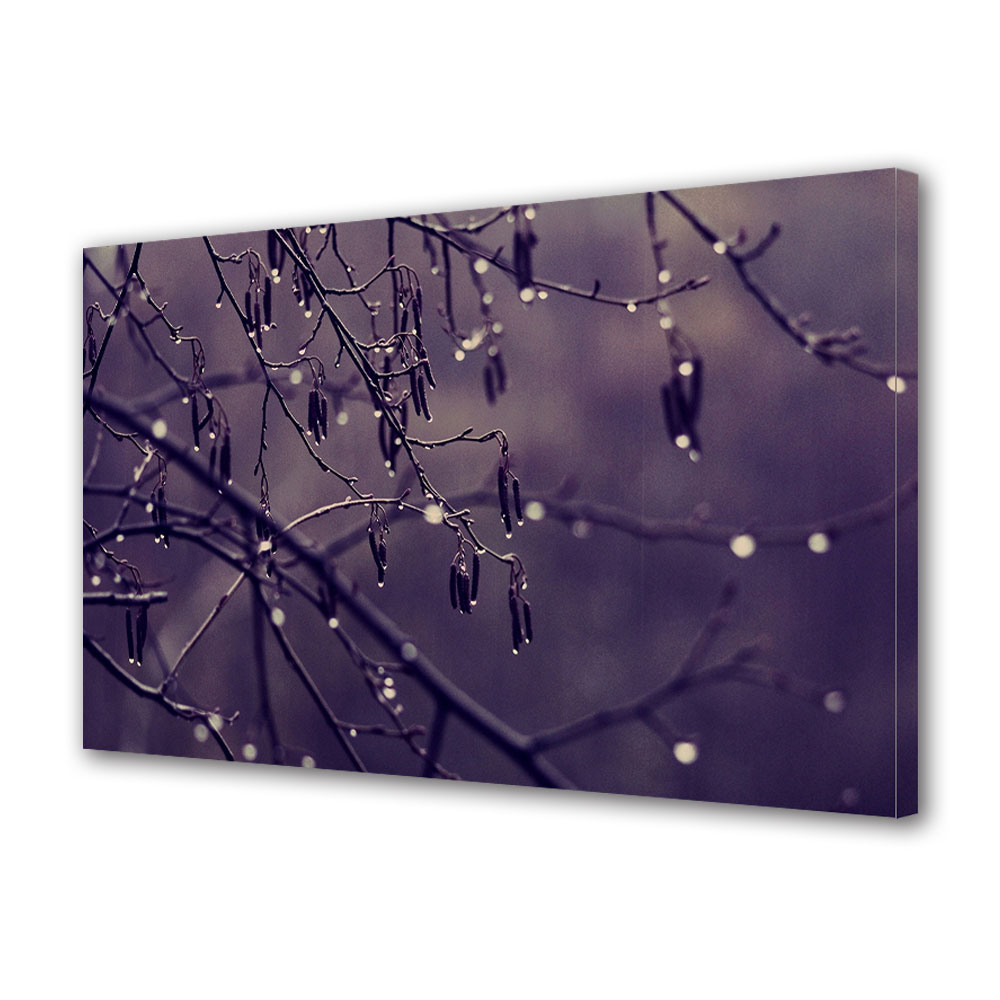 Tablou Canvas Luminos in intuneric VarioView LED, Toamna, Ploaie de toamna, 40 x 60 cm