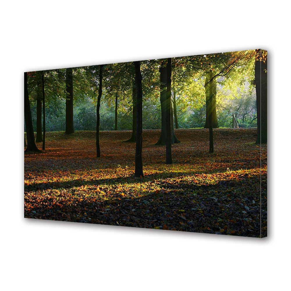 Tablou Canvas Luminos in intuneric VarioView LED, Toamna, Razele diminetii, 30 x 45 cm
