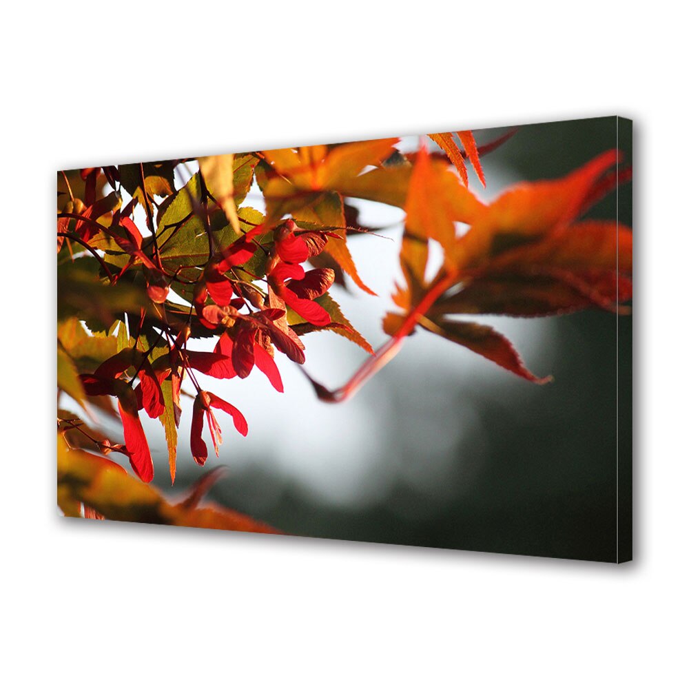 Tablou Canvas Luminos in intuneric VarioView LED, Toamna, Frunze in lumina apusului, 30 x 45 cm