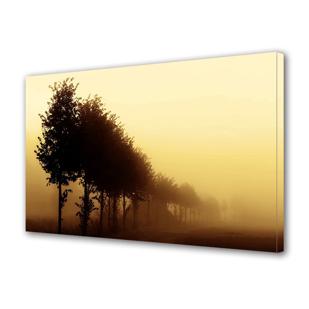 Tablou Canvas Luminos in intuneric VarioView LED, Toamna, Rand de copaci innegurati, 30 x 45 cm