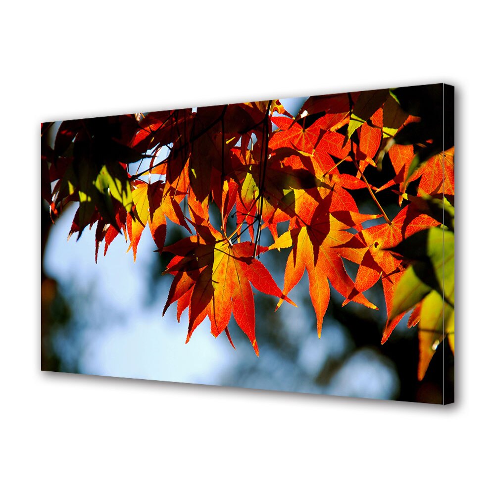 Tablou Canvas Luminos in intuneric VarioView LED, Toamna, Lumina toamnei prin frunze, 40 x 60 cm