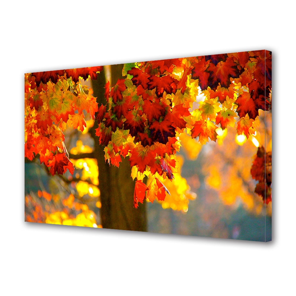 Tablou Canvas Luminos in intuneric VarioView LED, Toamna, Frunze tricolore, 40 x 60 cm