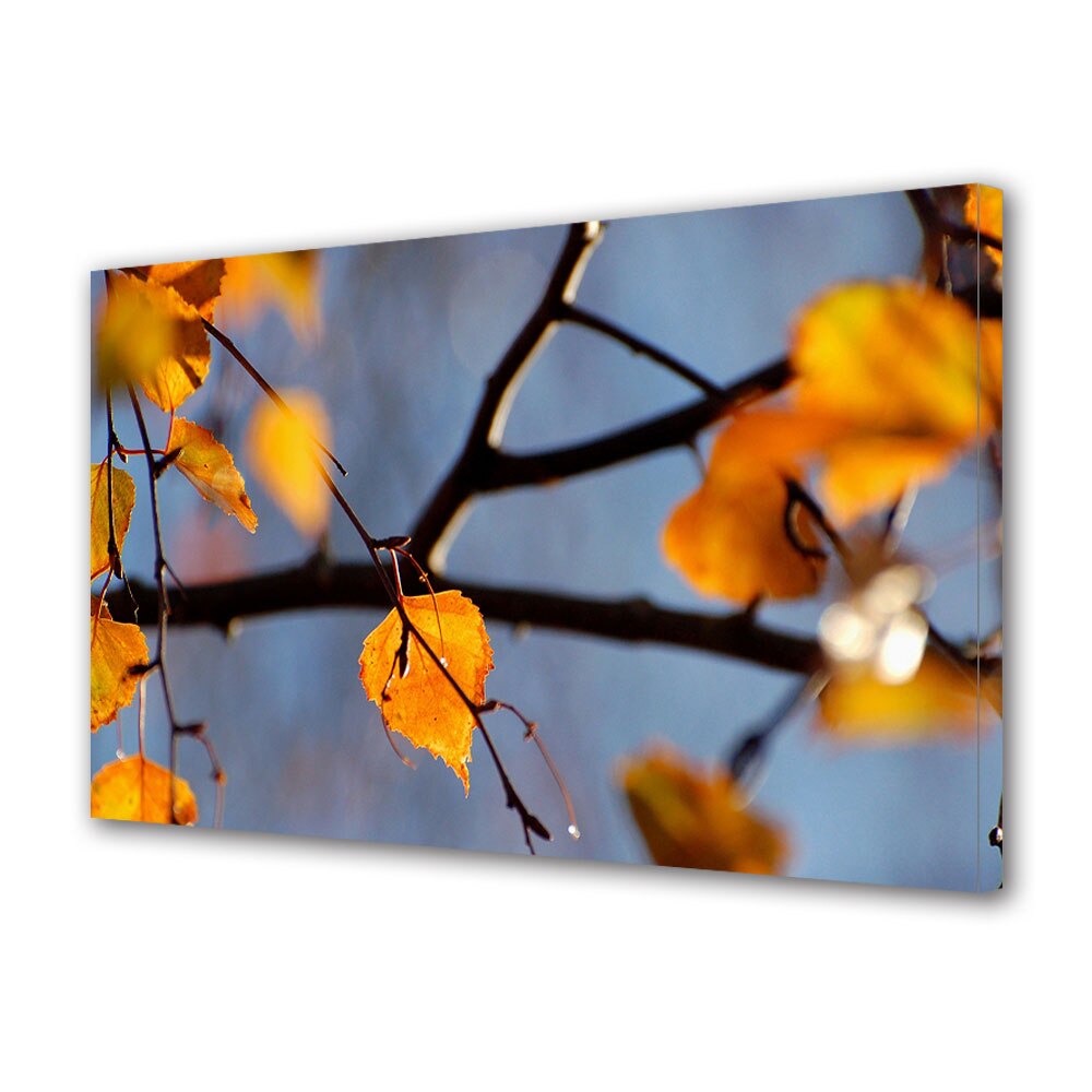 Tablou Canvas Luminos in intuneric VarioView LED, Toamna, Compozitie de frunze portocalii pe fundal albastru, 30 x 45 cm