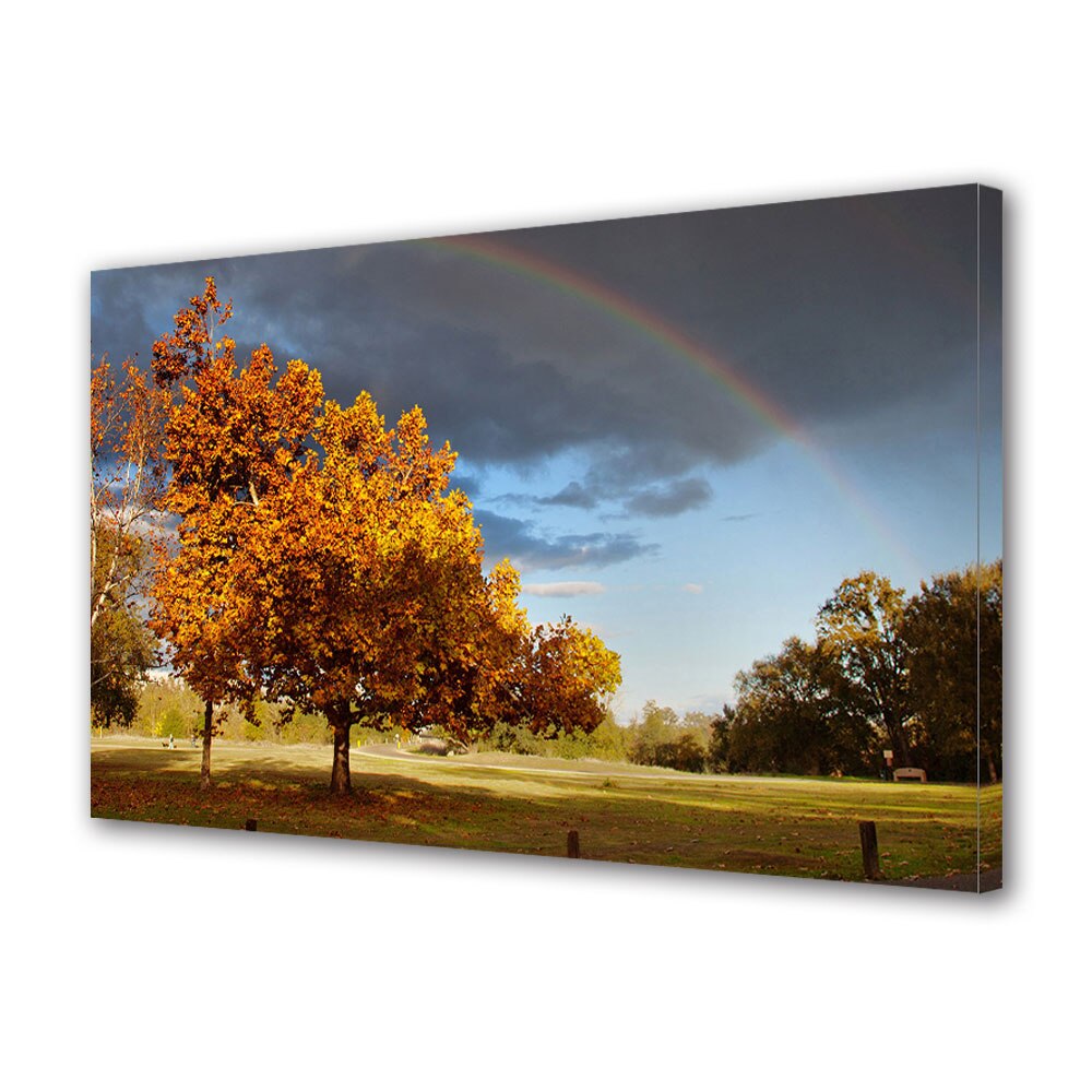 Tablou Canvas Luminos in intuneric VarioView LED, Toamna, Curcubeu dupa ploaie, 40 x 60 cm