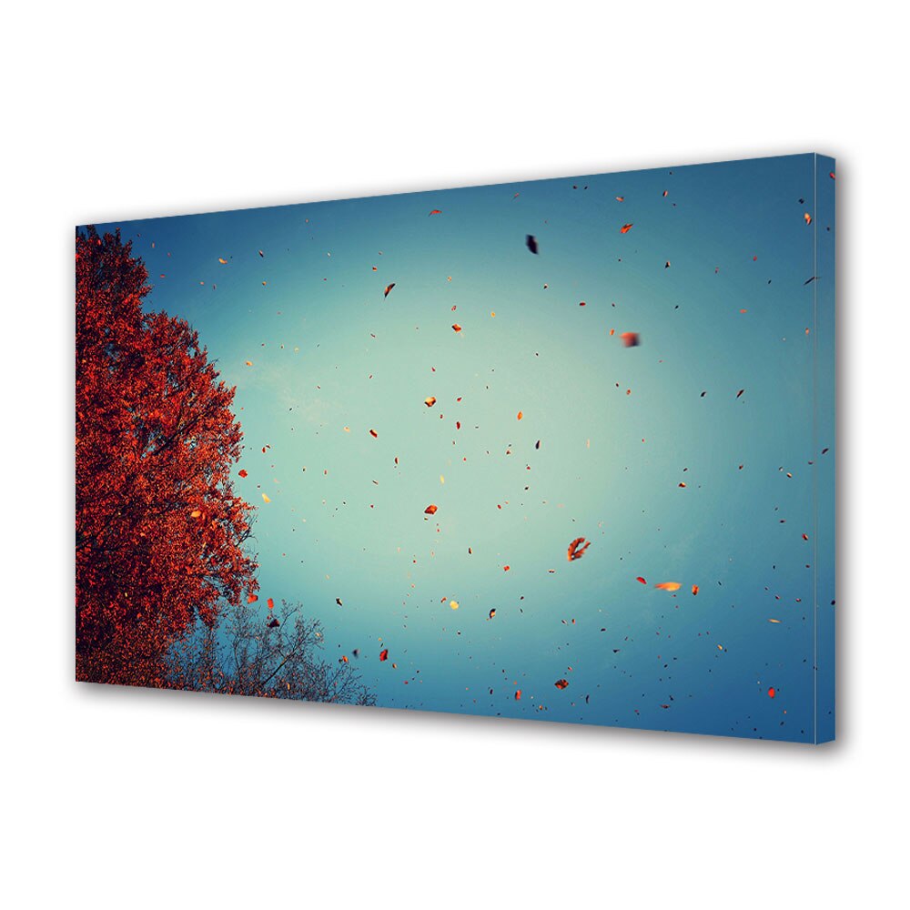 Tablou Canvas Luminos in intuneric VarioView LED, Toamna, Frunze rosii plutind in vazduh, 40 x 60 cm