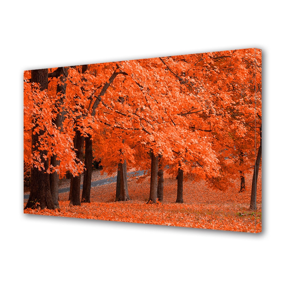 Tablou Canvas Luminos in intuneric VarioView LED, Toamna, Covor de frunze rosu puternic, 40 x 60 cm