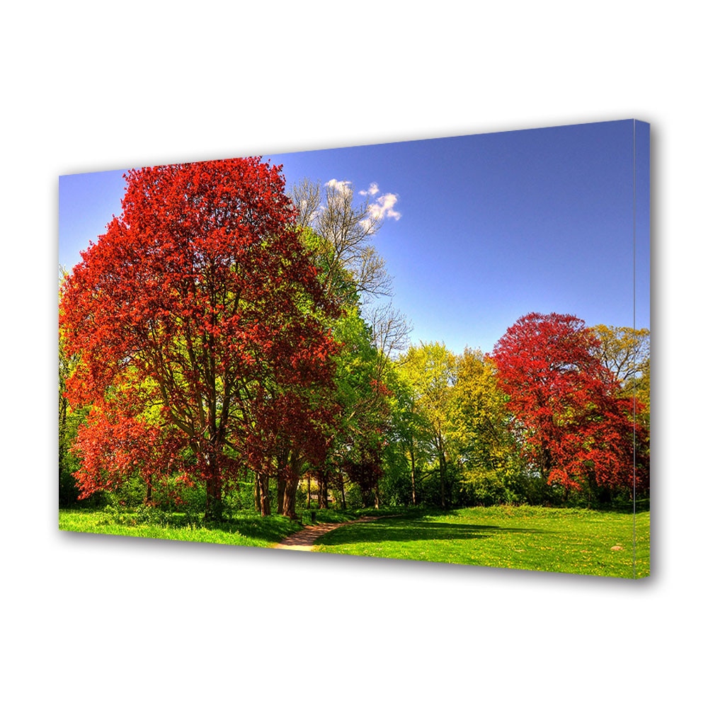 Tablou Canvas Luminos in intuneric VarioView LED, Toamna, Umbra copacului rosu, 40 x 60 cm