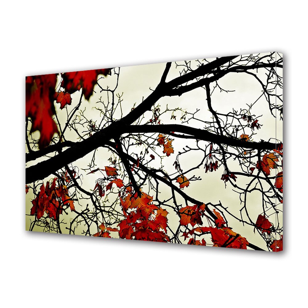 Tablou Canvas Luminos in intuneric VarioView LED, Toamna, Complexitatea naturii, 30 x 45 cm