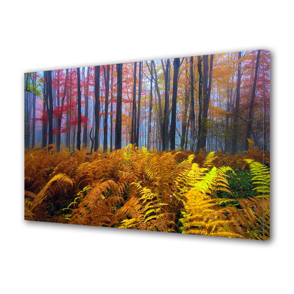 Tablou Canvas Luminos in intuneric VarioView LED, Toamna, Ferigi in padure, 30 x 45 cm