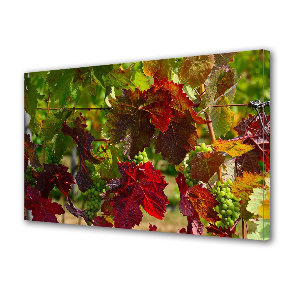 Tablou Canvas Luminos in intuneric VarioView LED, Toamna, Struguri verzi, 30 x 45 cm